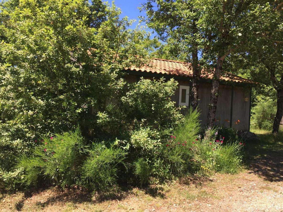 ホテル Le Balcon Des Raspes Saint-Victor-et-Melvieu エクステリア 写真